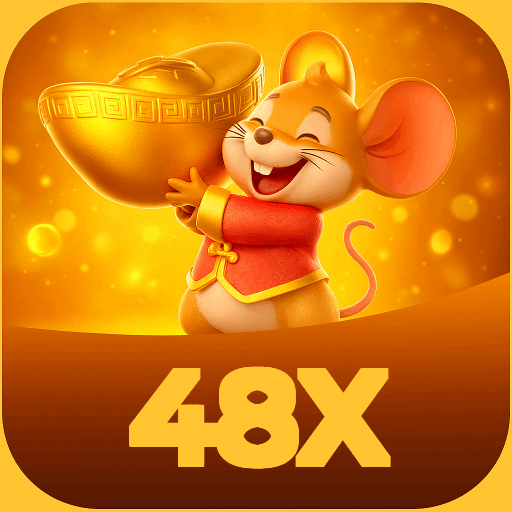 48Xlogo